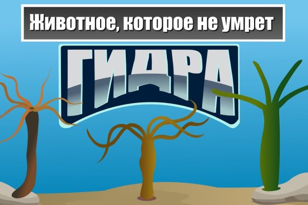 Кракен продажа наркотиков