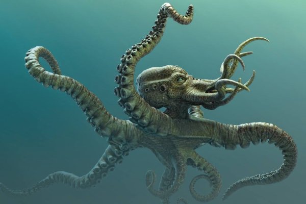 Kraken даркнет что это